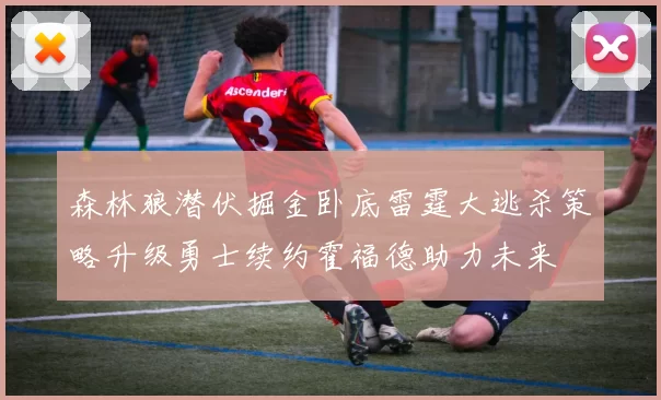 森林狼潜伏掘金卧底雷霆大逃杀策略升级勇士续约霍福德助力未来