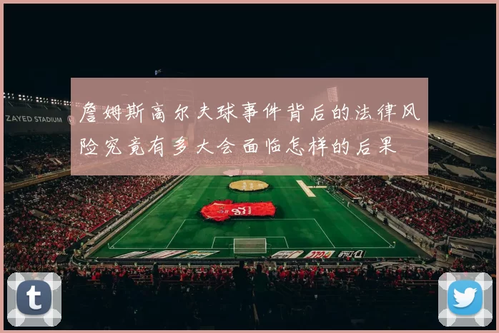 詹姆斯高尔夫球事件背后的法律风险究竟有多大会面临怎样的后果